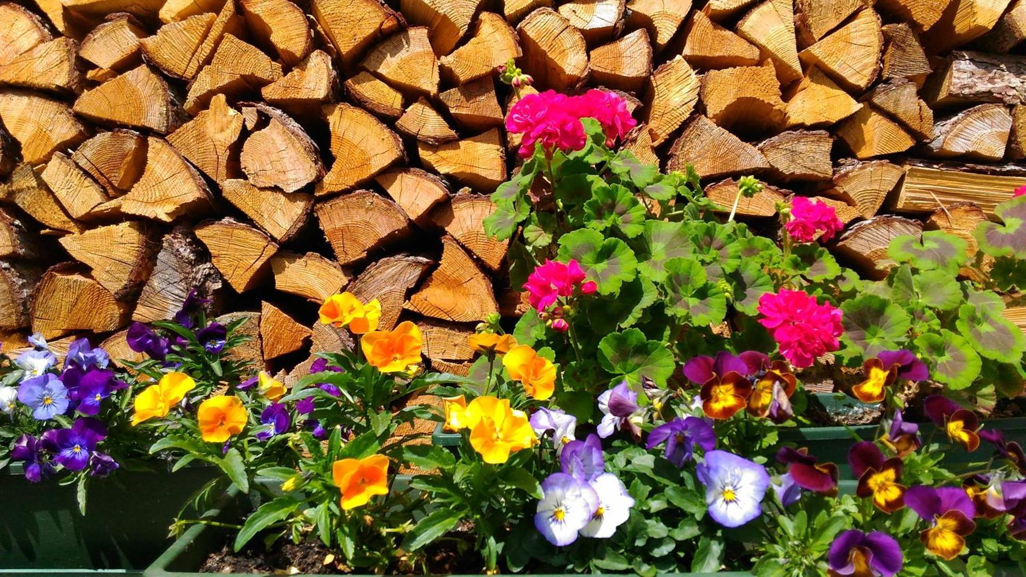 Bed & Breakfast Campaciol Livigno Exterior photo