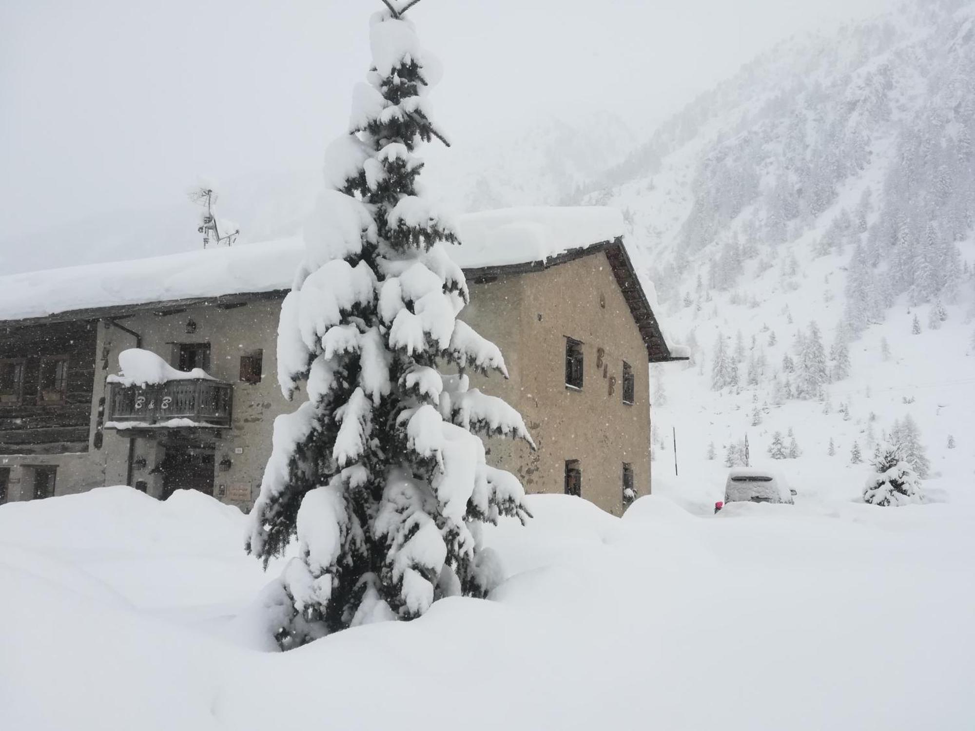 Bed & Breakfast Campaciol Livigno Exterior photo