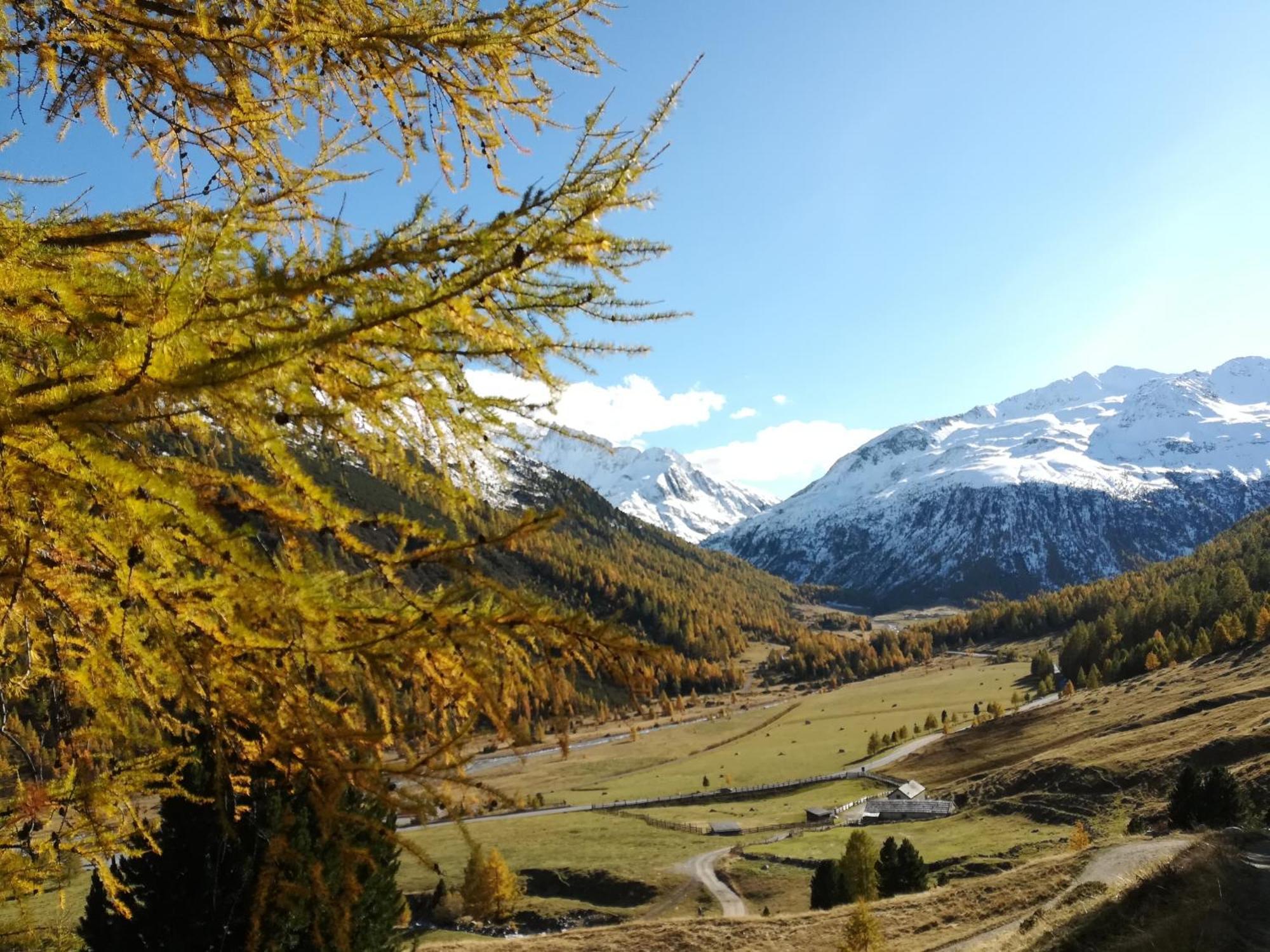 Bed & Breakfast Campaciol Livigno Exterior photo